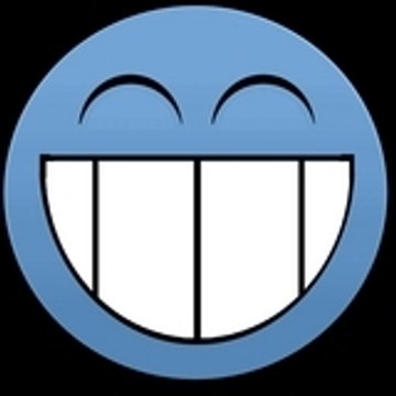 steyrpuch