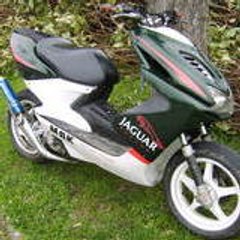 31julien