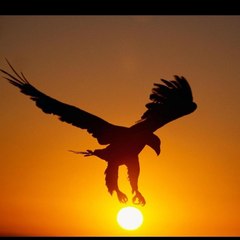 Inspire Every Day☺