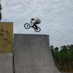 wilfried