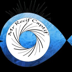 MrRecifCaptif