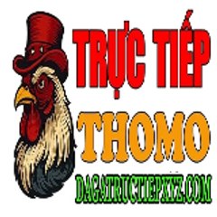 ĐÁ GÀ TRỰC TIẾP XYZ