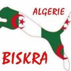 ahmed amine