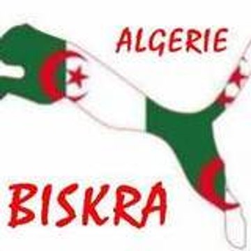 ahmed amine