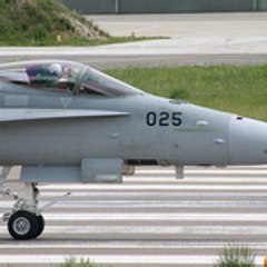 Swiss-Hornet