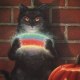 FunnyCatMoments