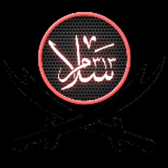 SALAM⚔313