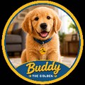 Buddy The Golden