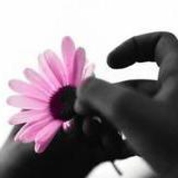 Princesse31170