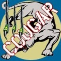 Cougar133