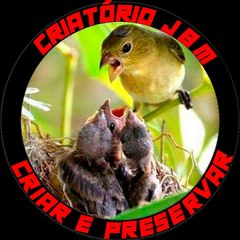 Criatorio_jbm