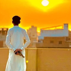 Aamir Araria