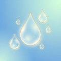 Gotas de Sabedoria