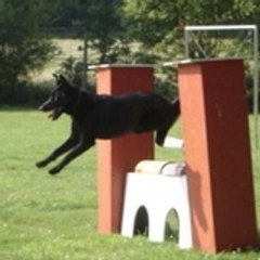 nala29