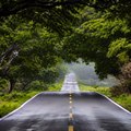 RoadVista India
