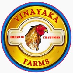 Vinayaka Farms