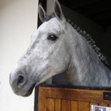 loulou3b1