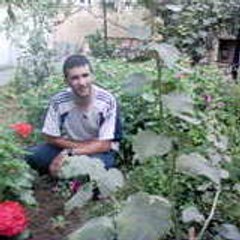allalou yazid