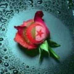 amine