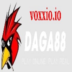 DAGA 88