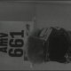 titibou59