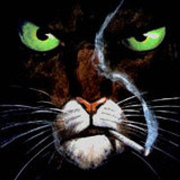 d3fa41fd58e86433c4a5d0c8b