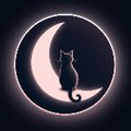 Moon 💫