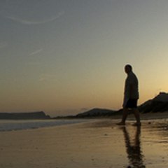 Pedro Menezes