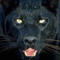 Bong MCS