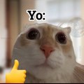 todo lo que nos haga reír