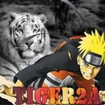 Tiger2a