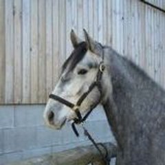 Coralie