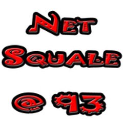 NetSquale