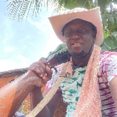 Damola Taiwo