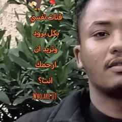youssef noby