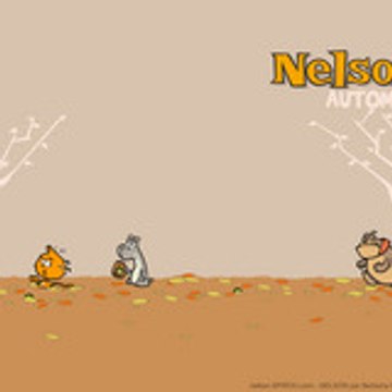 biberon230699