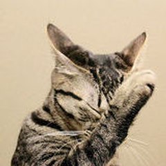 ねこの