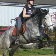 Kaaly