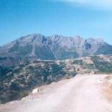 sadelli62