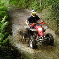 Rollet Damien