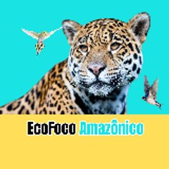 EcoFocoAmazônico