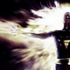 darkfalfoenix