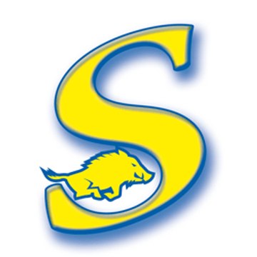 Sangliers Ecole de football américain