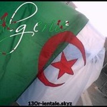 Algeri-Haiine31