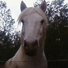 Laurene