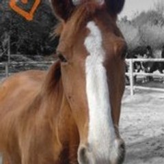 fanny13430