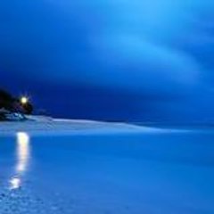 عصام الجزائري