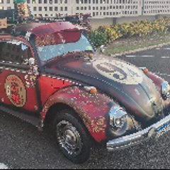 Fusca RatyPotter