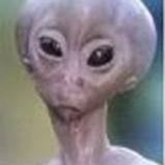 François Belleflamme