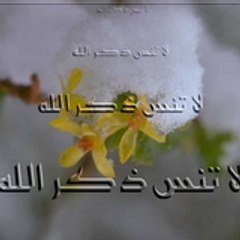 Taoufik72